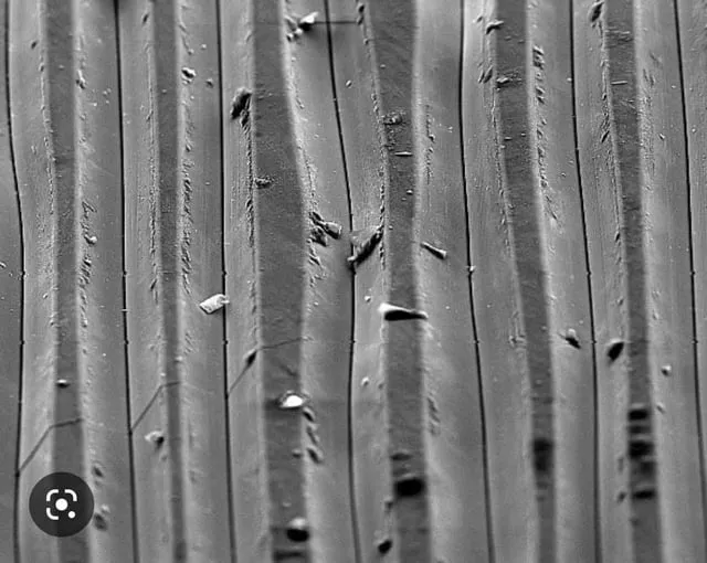 Close-up black and white image of a vinyl record's grooves showing surface scratches and dust particles.